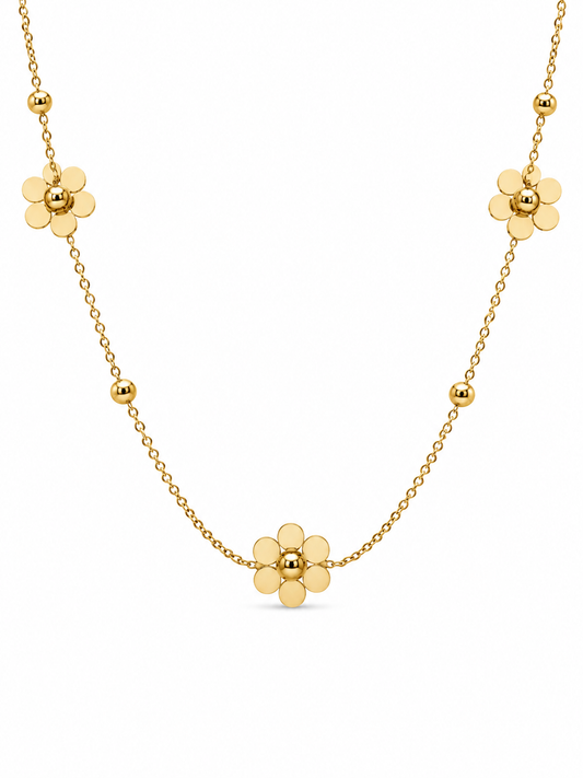 Evora Necklace